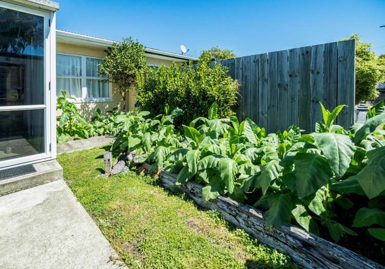 2/64 Golf Road Tahunanui_18