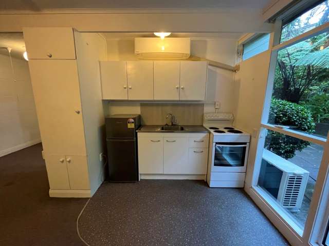 8/7 Claybrook Road Parnell_2