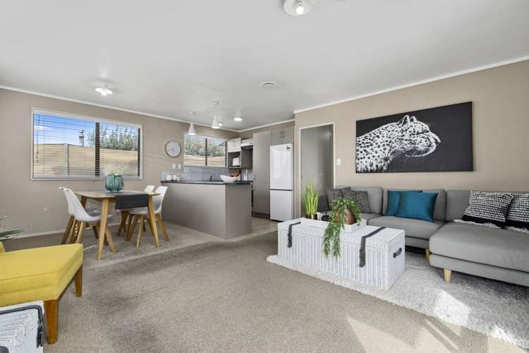 465b Ngatai Road Bellevue_5