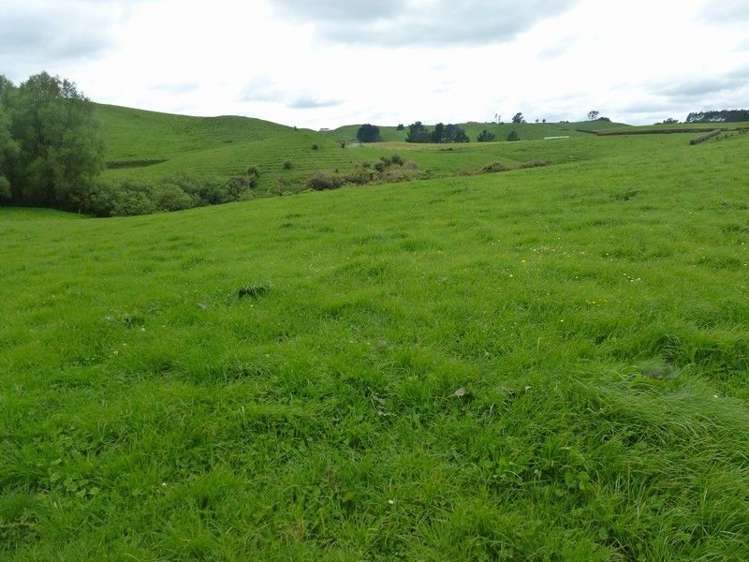 1265 Mountain Road Inglewood_9