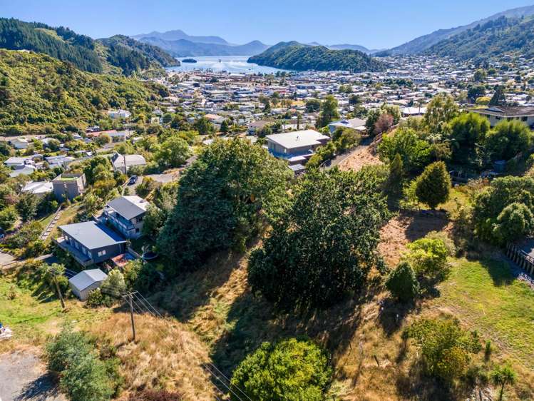 19b Dorset Street Picton_12