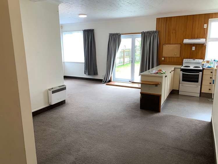 41 Rotherham Terrace Miramar_6