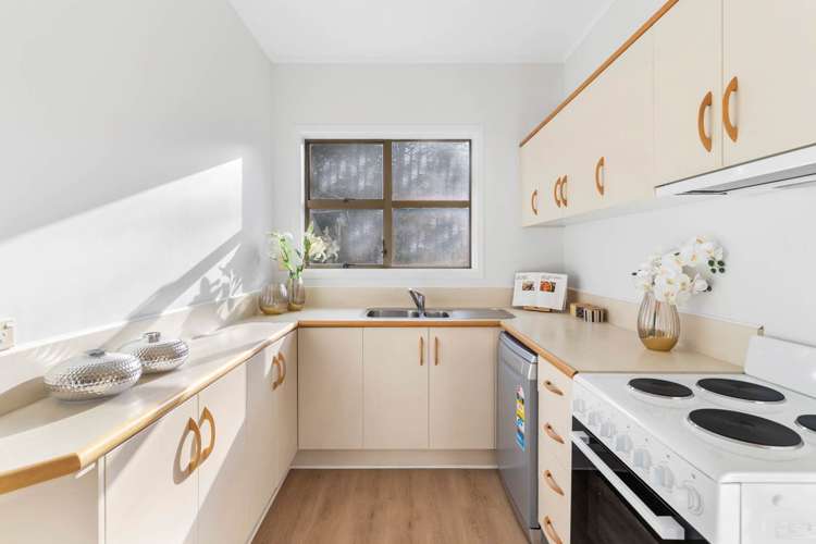 4/28 Cadman Avenue Greenlane_12