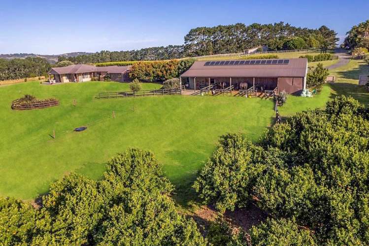 135B Hutchinson Road Helensville_6