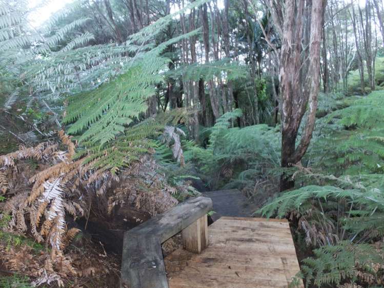 93 Tarapatiki Drive Whitianga_20