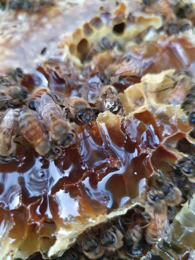 58 Moroa Road Tauherenikau_3