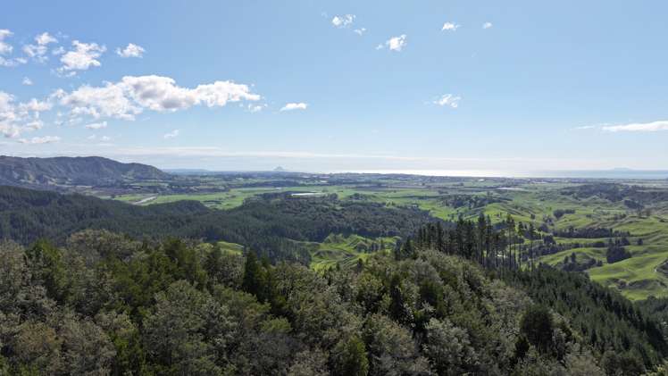 - Waioeka Pa Road Opotiki_18