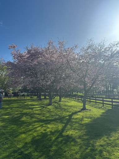 921 Gordonton Road_3