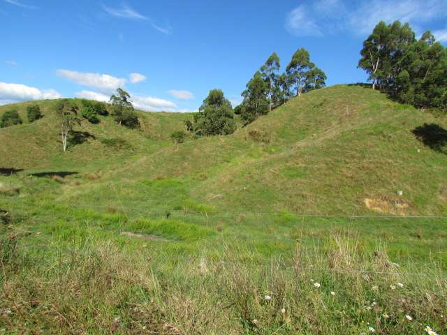 173 Luttrell Road Murupara Surrounds_2