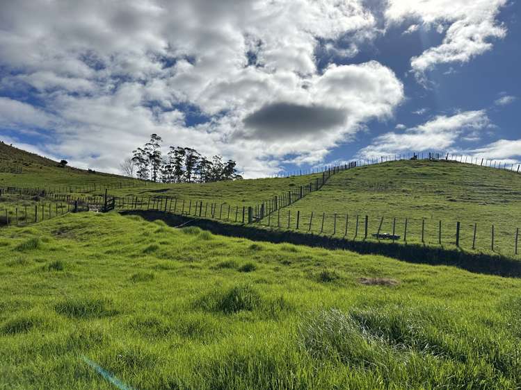 Lot 1 Donald Rd Kaitaia_5