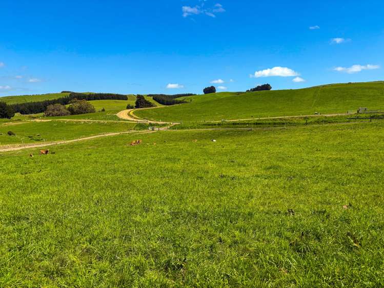 906 Waimahaka Fortification Road Fortification_16