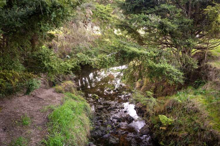 3763b State Highway 12 Taheke_16