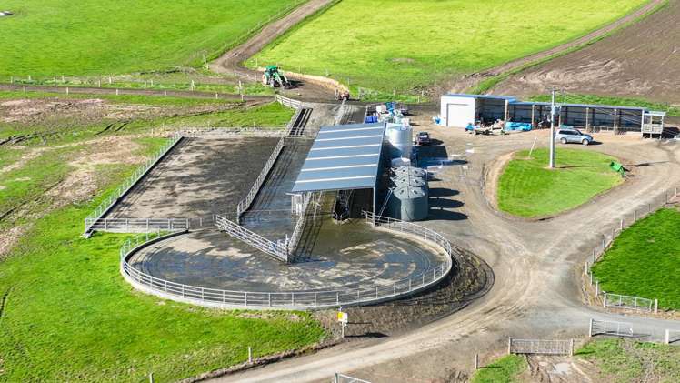 1095 Waimea Valley Road Nine Mile_1