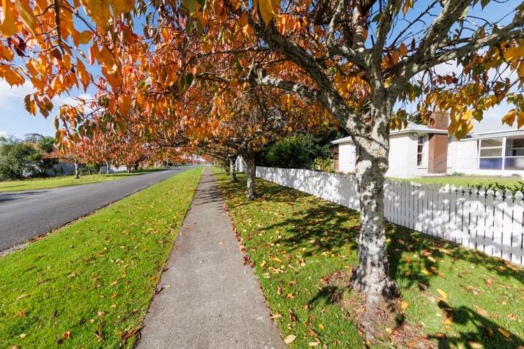 53 Humber Street Rongotea_25