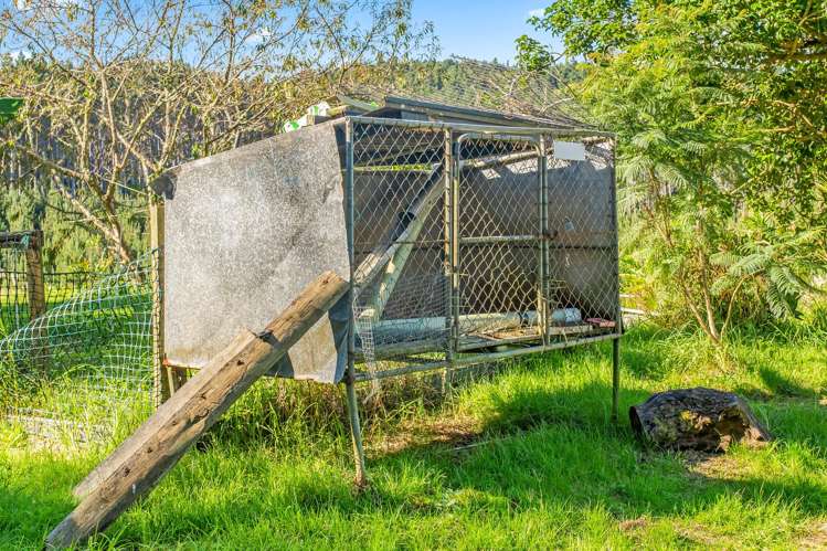 110 Whangape Track Road Broadwood_23