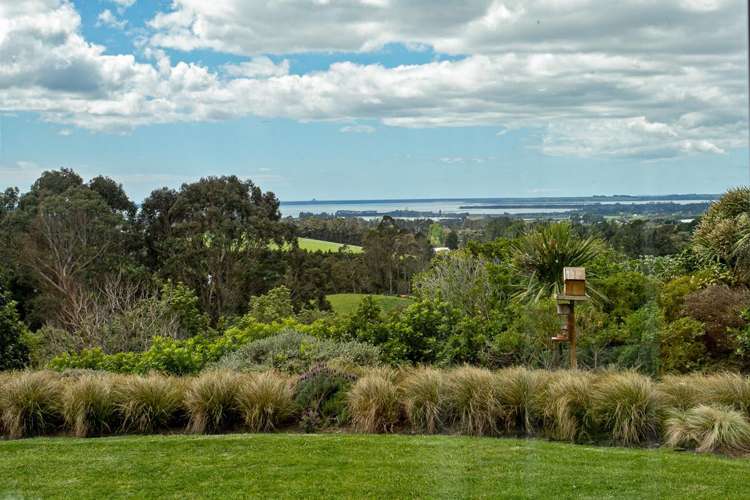 44a Tye Road Katikati_33