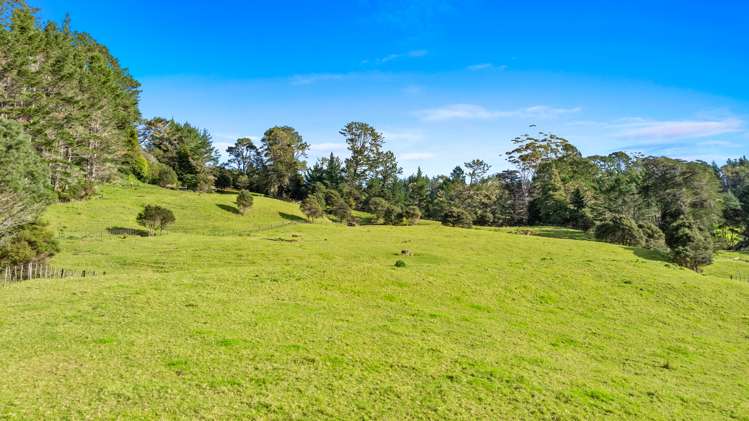 10 Kraack Road Warkworth_10