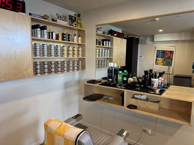 25A Pollen Street Grey Lynn_4