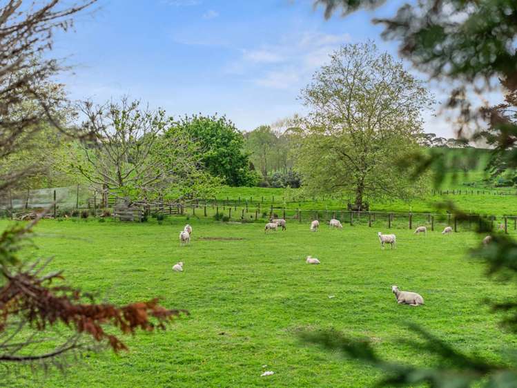 4 Sherwood Drive Patumahoe_17