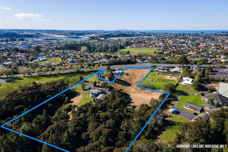 42 Albany Highway Greenhithe_0