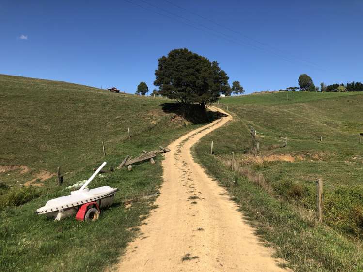 35 Grove Access Road Karamu_45