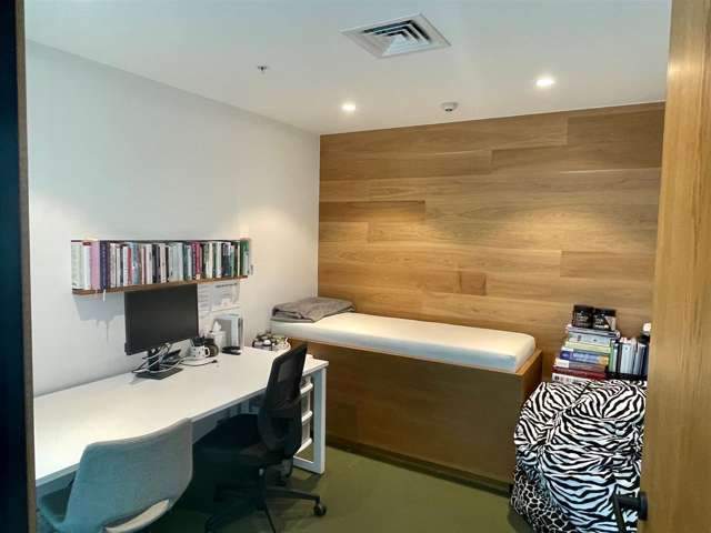 5 Crummer Road Grey Lynn_3