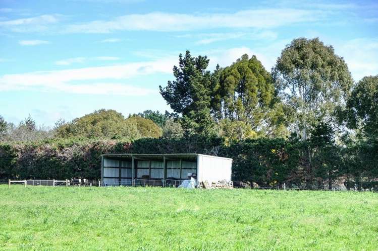 263 Oxford Road Fernside_13