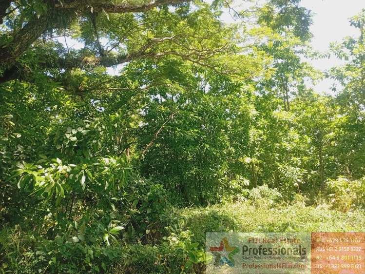 Address withheld Taveuni_10