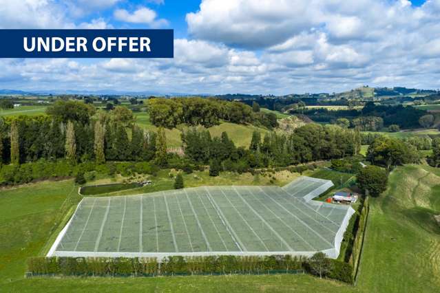 G3 Gold - Covered Organic Kiwifruit Orchard 1.83ha