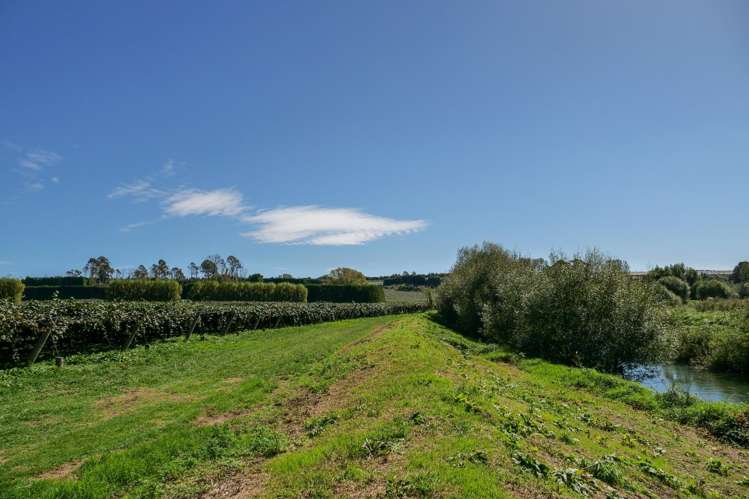 206 Casuarina Drive Te Puke_5