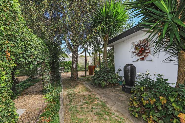 23 The Loop Meeanee_16