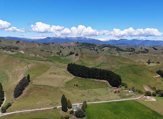 166 and 179 Mangapapa Road Taihape_4
