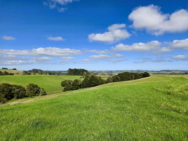 6320 State Highway 12 Dargaville_12