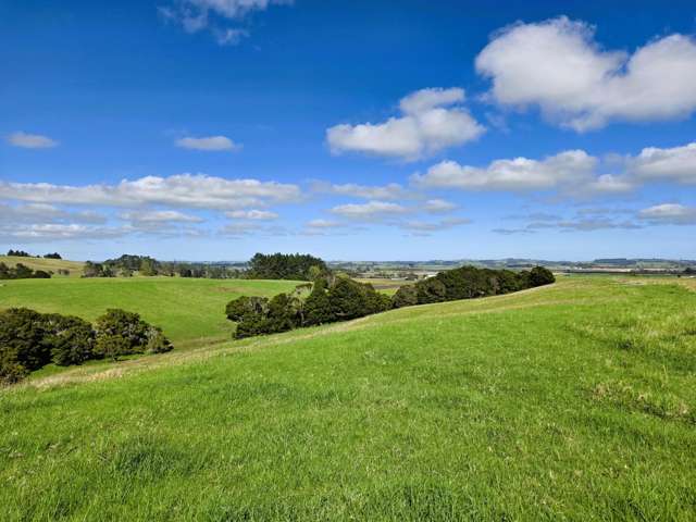 6320 State Highway 12 Dargaville_4