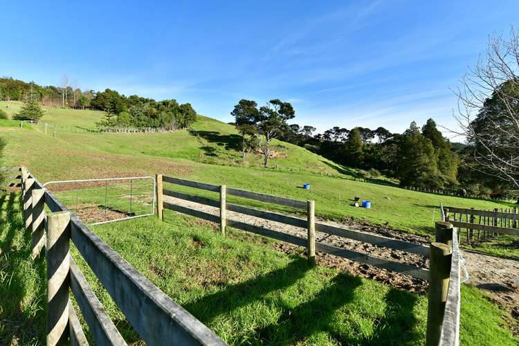 65c Manuka Grove Helensville_34
