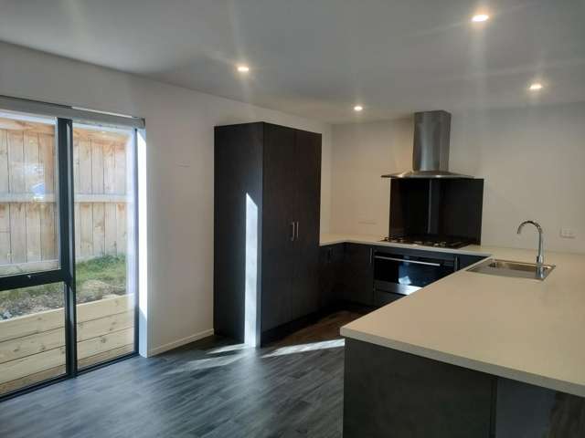 12B Humphrey Street Frankton_4