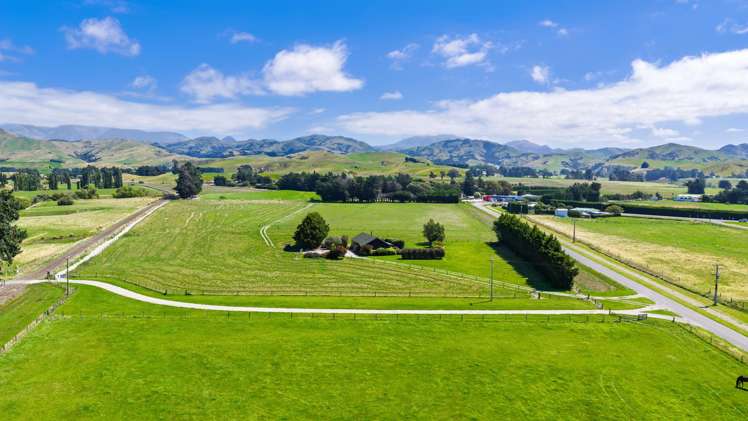 36 Seddon Street Ward_0