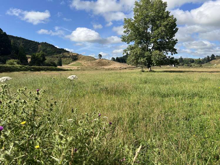 Waitomo Valley Road Waitomo_10