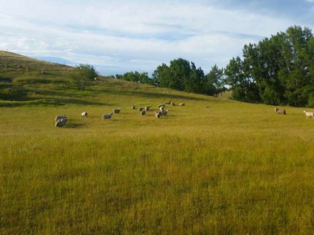 539 Rolling Ridges Road Levels Valley_4