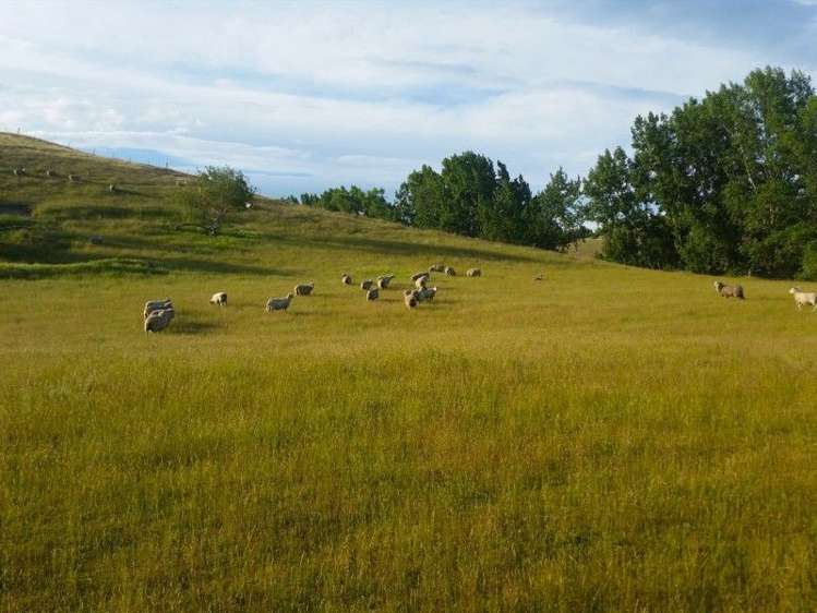 539 Rolling Ridges Road Levels Valley_4