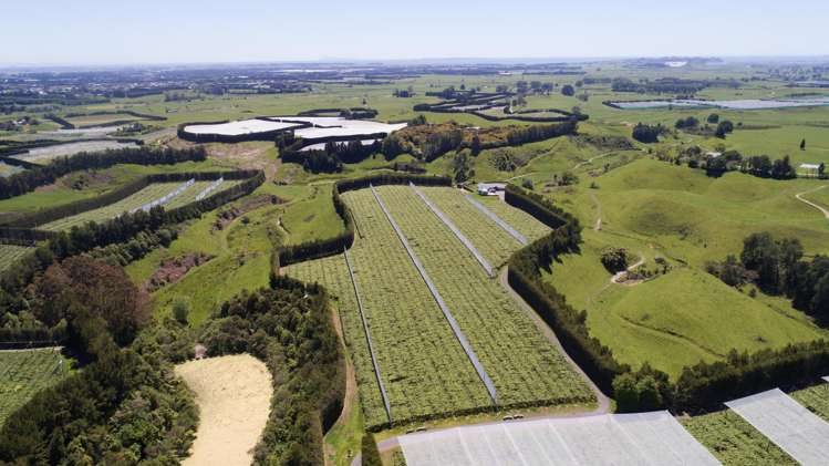 471b Old Coach Road Paengaroa_7