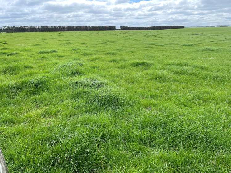 150 Spur Road West Colyton_11