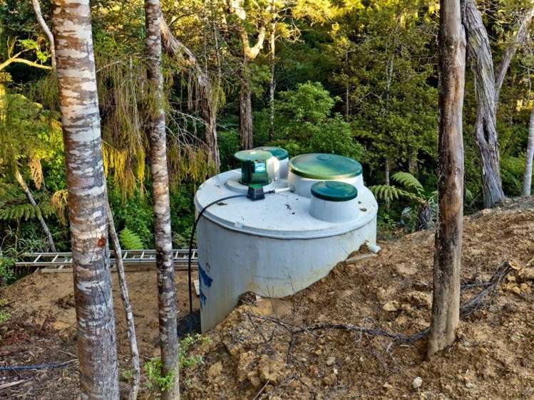 250 Wright Road Dairy Flat_9