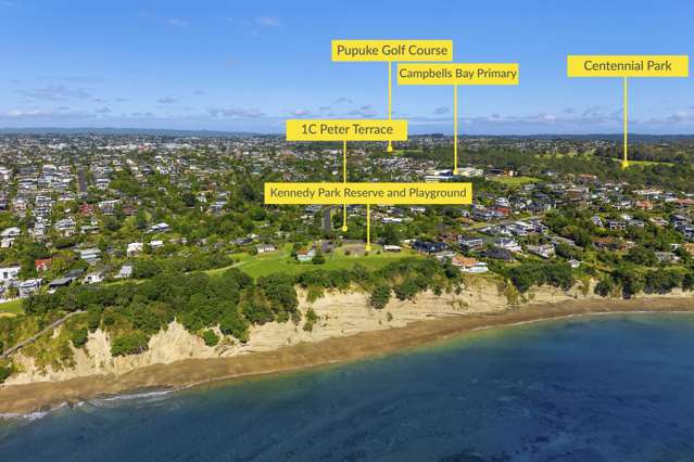 1C Peter Terrace Castor Bay_2