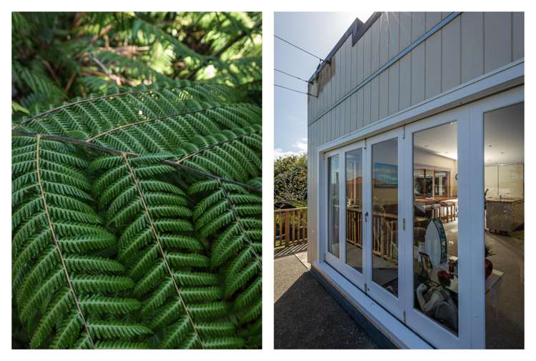 7 Trotter Avenue Waiomu_17