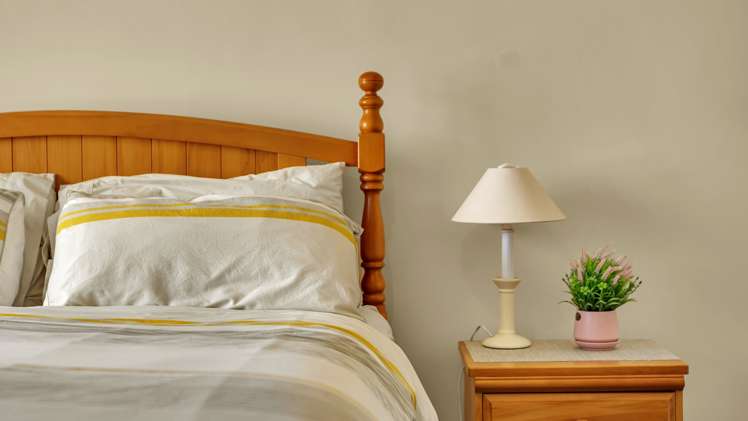 17 Bradshaw Terrace Riccarton_10