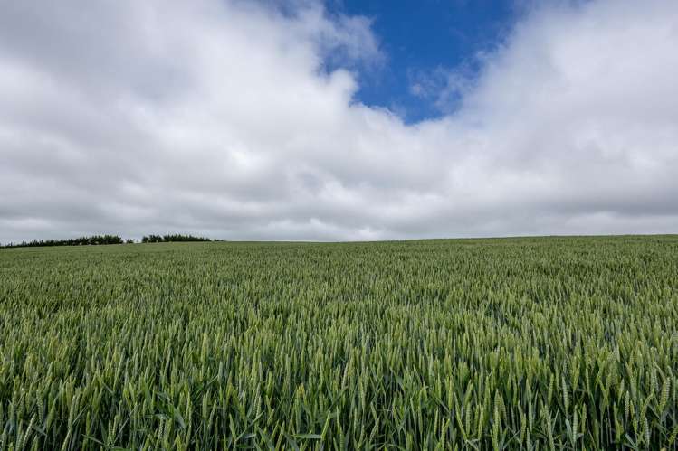 Address withheld Windsor_32