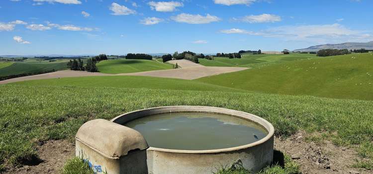 406 Byars Road Chatton North_16