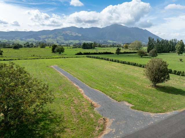 Strange Road Te Aroha_3