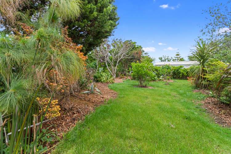 29 Hikutaia Street Te Aroha_18